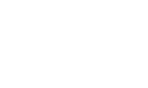 Option 1 Logo