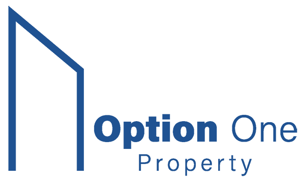 Option One Property - Real estate in Istanbul
