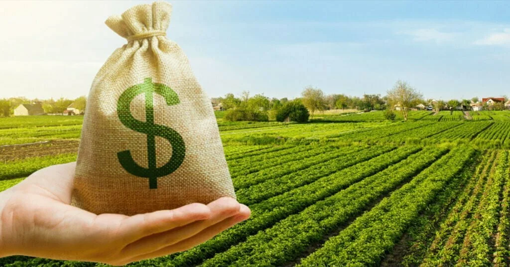 فوائد استثمار الأراضي في تركيا
